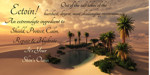 Description of Ectoin an Important new Ingredient derived from challenging environments/within a photo of an oasis/Char's Effectives Skincare