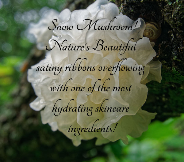 Photo of Snow Mushroom in the wild with text overlay about its beauty